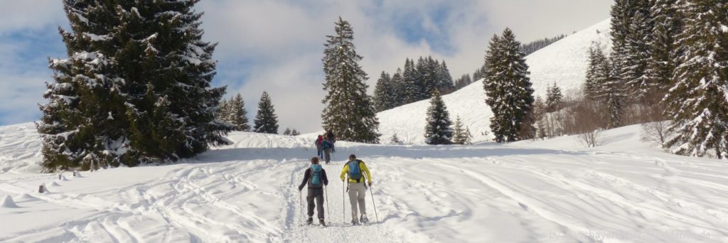 Bayerischer Wald Langlaufurlaub in Bayern Langlaufgebiete