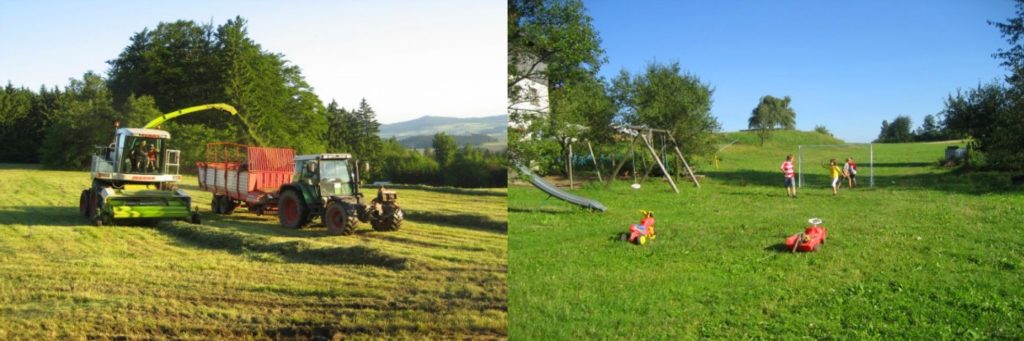 Kinder und Familien Bauernhof in der Oberpfalz Ferienhof Schneider bei Tiefenbach