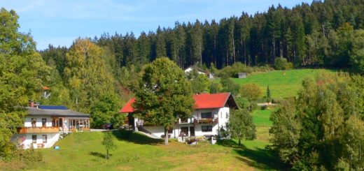 schreder-lindberg-pension-nationalpark-bayerischer-wald-landschaft