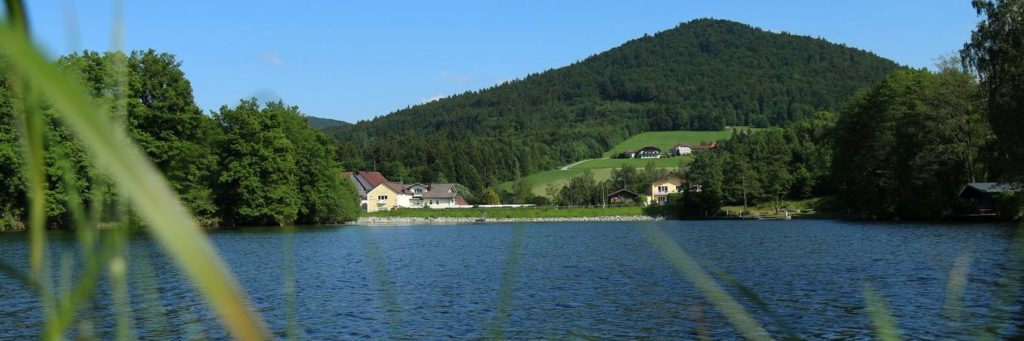 Hotel Seehof am Freudensee bei Hauzenberg Seehotel Bayerischer Wald