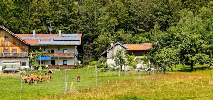 spiegelau-bauernhofurlaub-nationalpark-bayerischer-wald-ferienhaus-ansicht