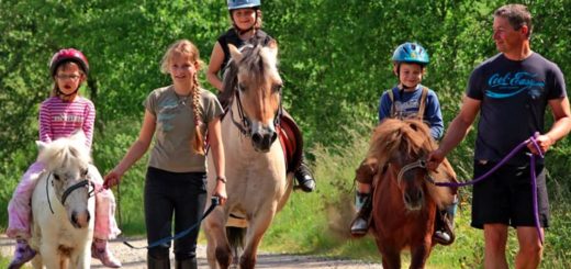 sponfeldner-familienbauernhof-bayerischer-wald-reiturlaub