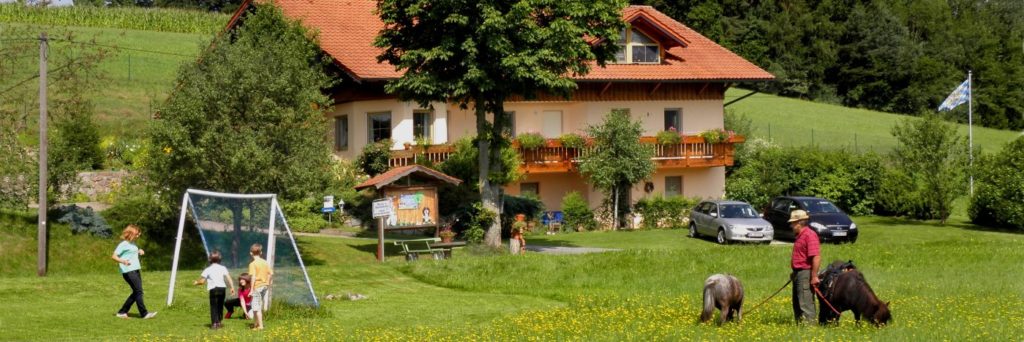 steinmühle-bauernhofurlaub-reitmöglichkeit-ferienhaus-bayerischer-wald
