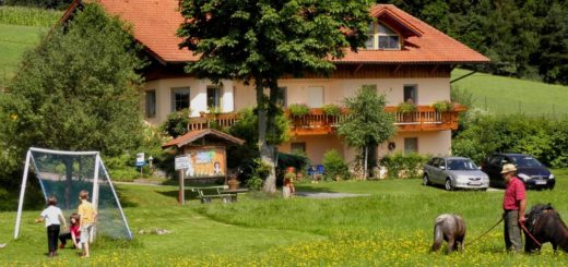 steinmühle-bauernhofurlaub-reitmöglichkeit-ferienhaus-bayerischer-wald