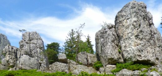 Ausflugsziele Viechtach grosser Pfahl Felsen Bayerischer Wald