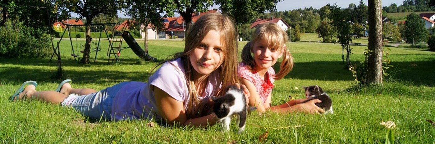 Kinder und Bauernhof Urlaub in Falkenstein in der Oberpfalz am Wagnerhof