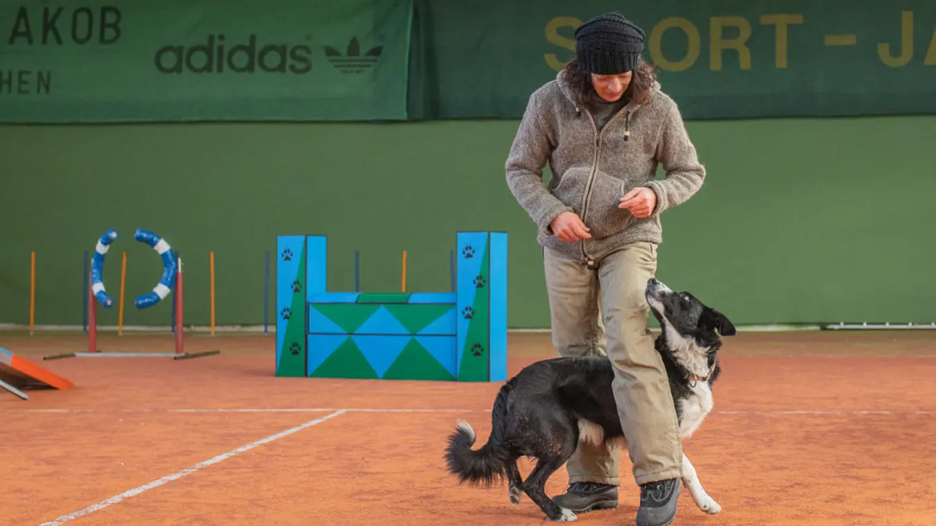 waldeck-hundehotel-bayern-tricktraining-seminare-kurse-1350