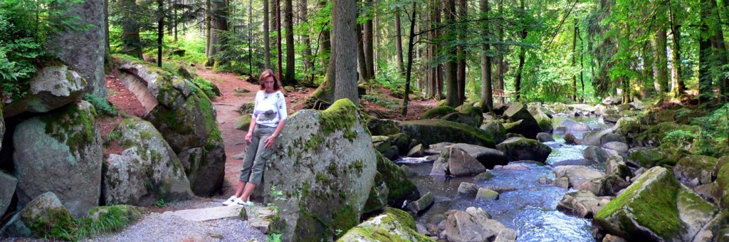 Hotels, Pensionen & Gasthöfe in Waldkirchen -Unterkünfte am Goldenen Steig