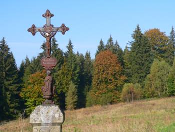 wanderwege-falkenstein-wandern-huettenweg-waldlichtung-wegkreuz