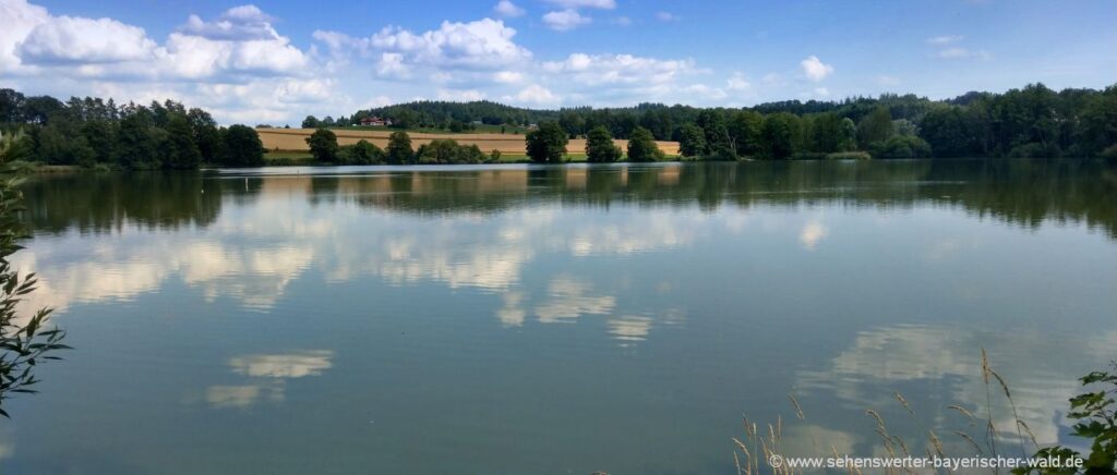 Freizeitsee Neuweiher in Wiesenfelden