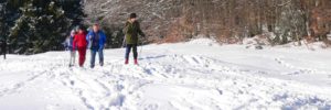 winterurlaub-bayerischer-wald-langlaufurlaub-bayern-langlaufen