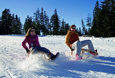 winterurlaub-bayerischer-wald-rodeln-am-arber-380