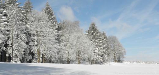 Winterurlaub Bayerischer Wald Winter Wandern im Schnee in Bayern