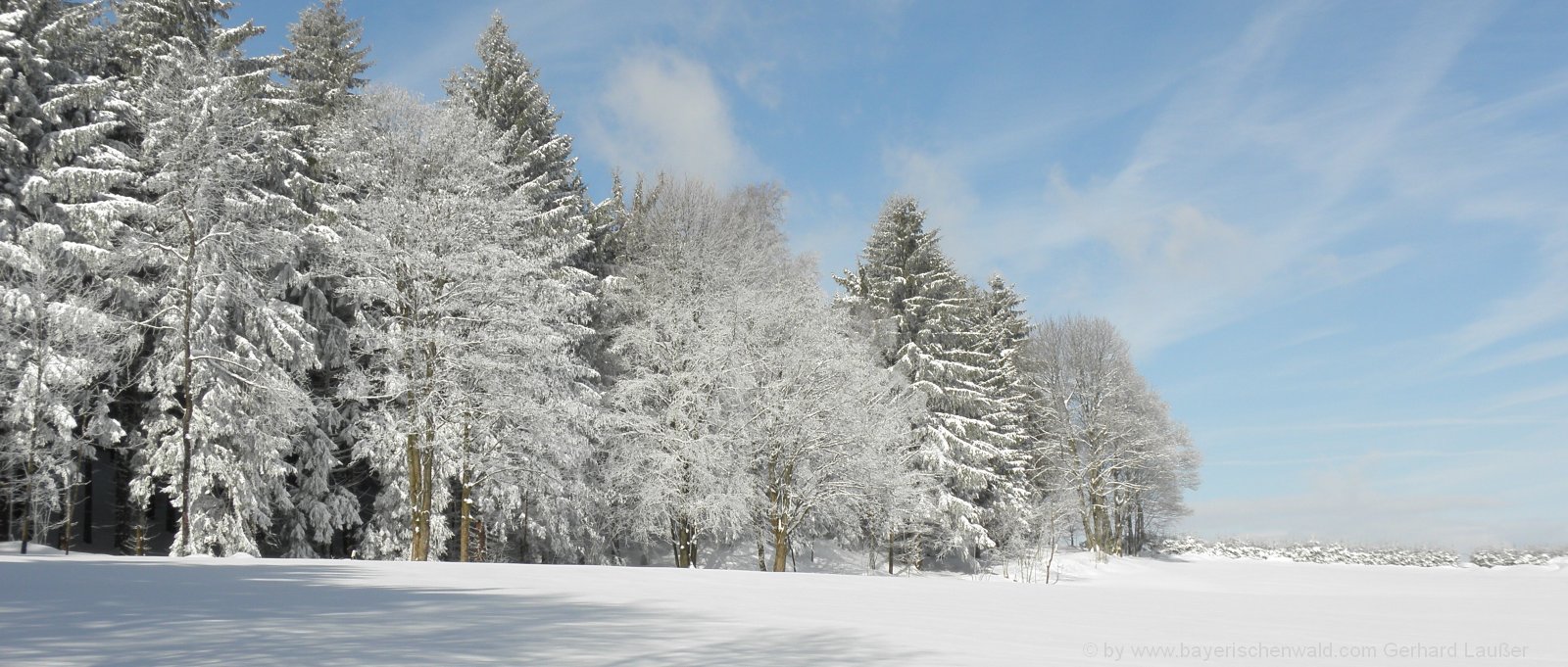 Winterurlaub Bayerischer Wald Winter Wandern im Schnee in Bayern