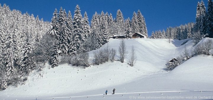 winterurlaub-bayerischer-wald-skifahren-langlaufen-winter-wandern