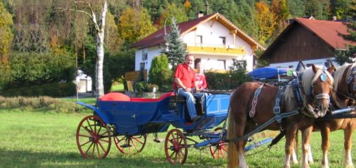 zankl-ferienhof-miltach-pferde-kutsche-bayerischer-wald-urlaub